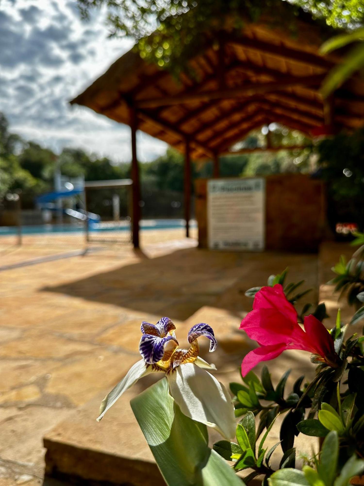 Parque Hotel Manantial Hohenau Exterior photo