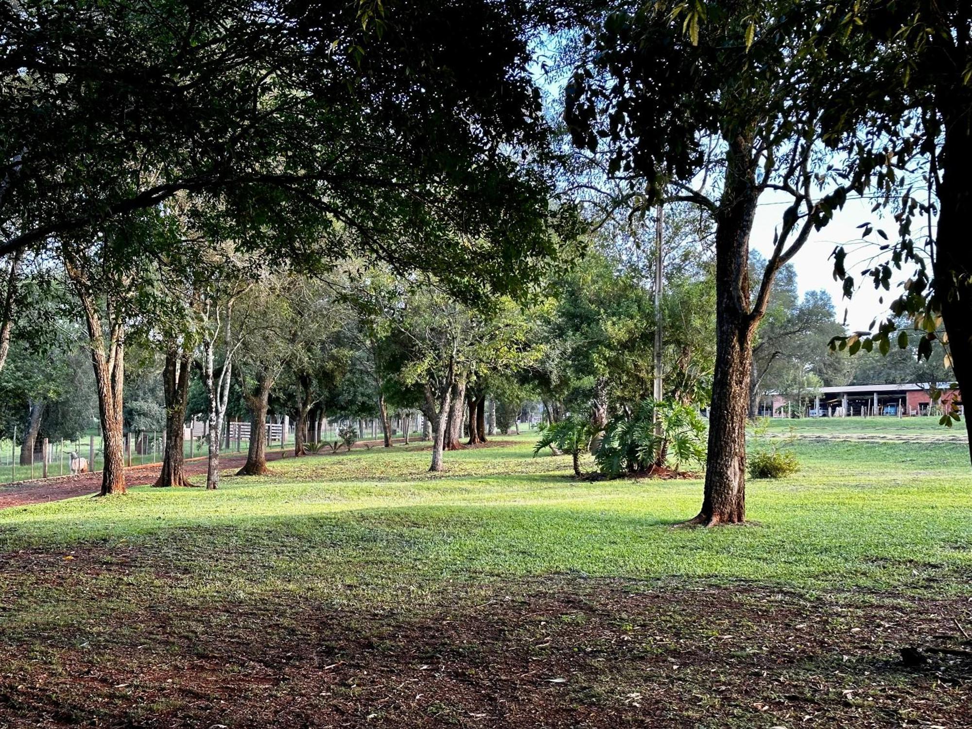 Parque Hotel Manantial Hohenau Exterior photo